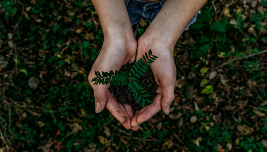 Why should I choose B Corp certified brands?