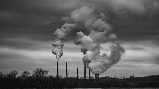What's the difference between Net Zero and Carbon Neutral: A parent's guide to a greener future