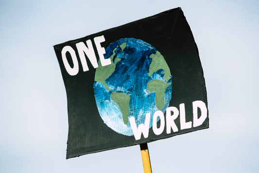 Empowering Future Generations: Introducing "Climate Education vs. The Climate Crisis"