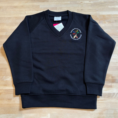 Parkdale Primary School v-neck school jumper