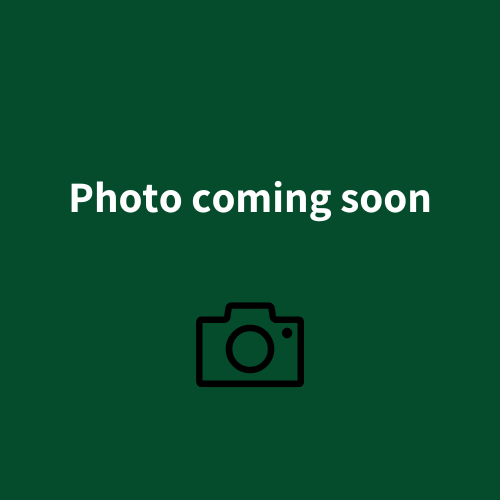 Plain school jumpers / sweatshirts - crew neck