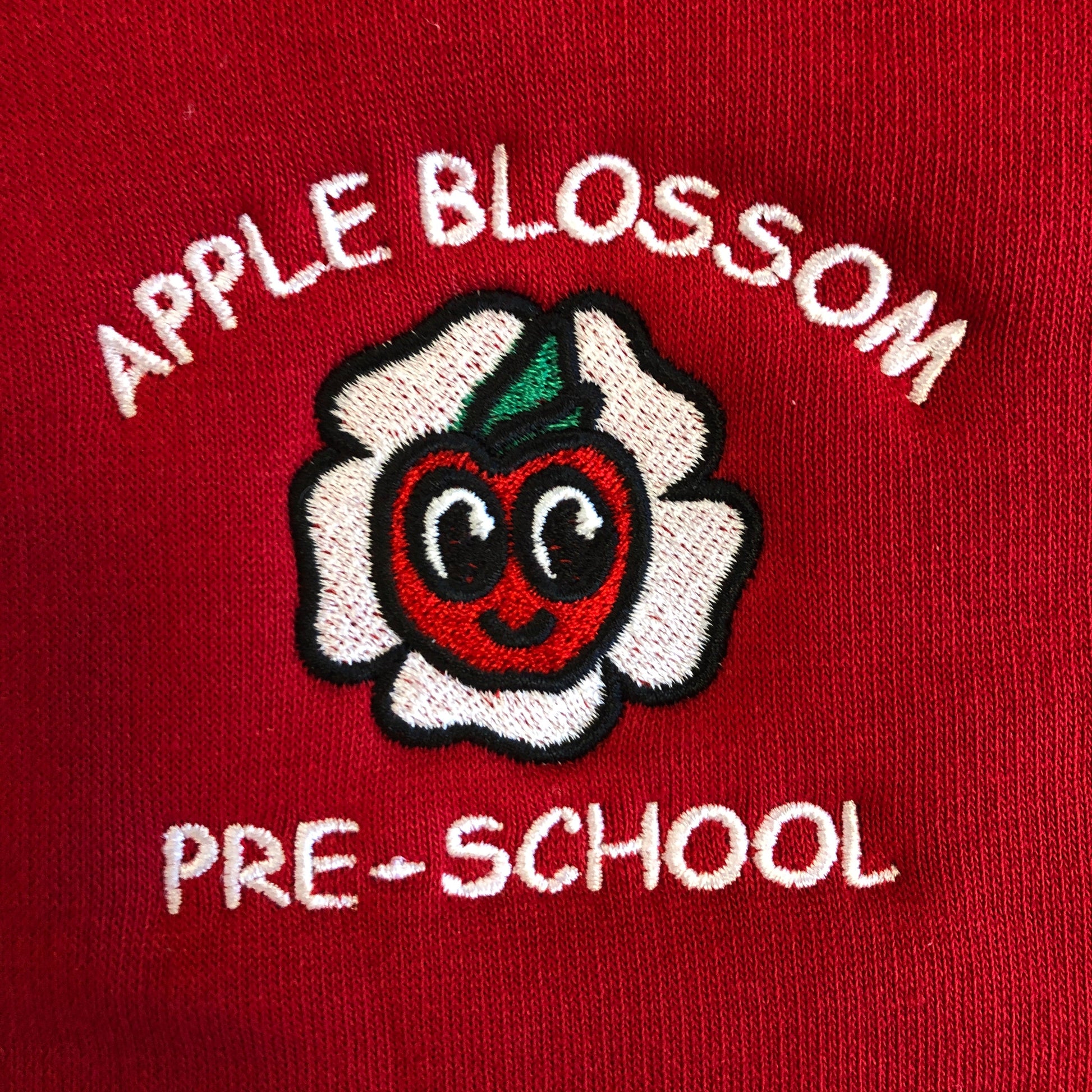 Apple Blossom Pre-school Crossgar