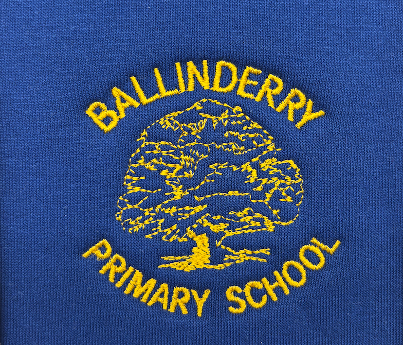 Ballinderry Primary School jumper