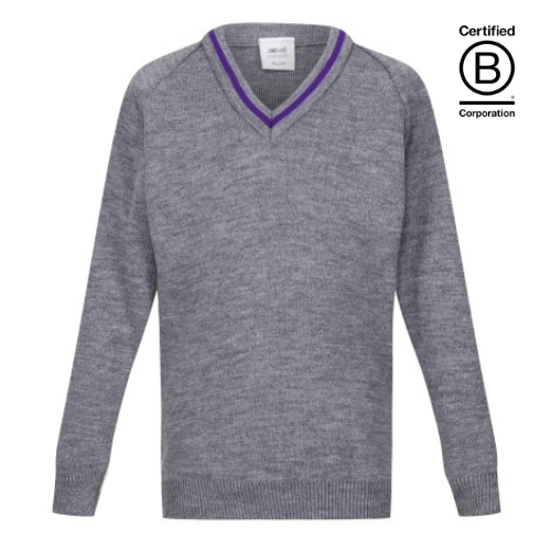 V-neck acrylic school jumper Grey with purple stripe
