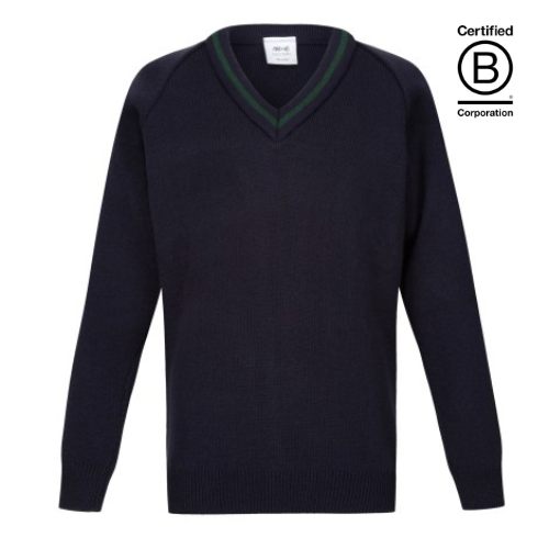 V-neck acrylic school jumper Navy with bottle green stripe