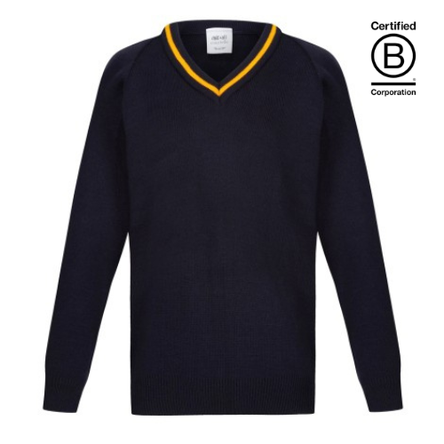 V-neck acrylic school jumper Navy with yellow gold stripe