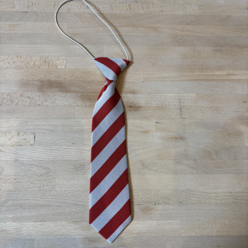 Wide stripe eco school ties