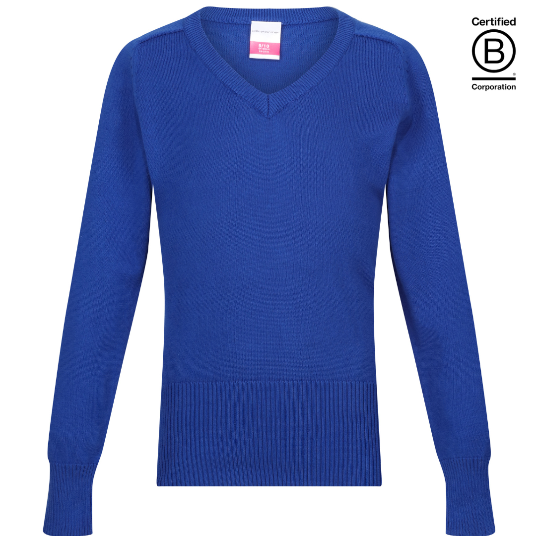 Royal blue jumper shop school