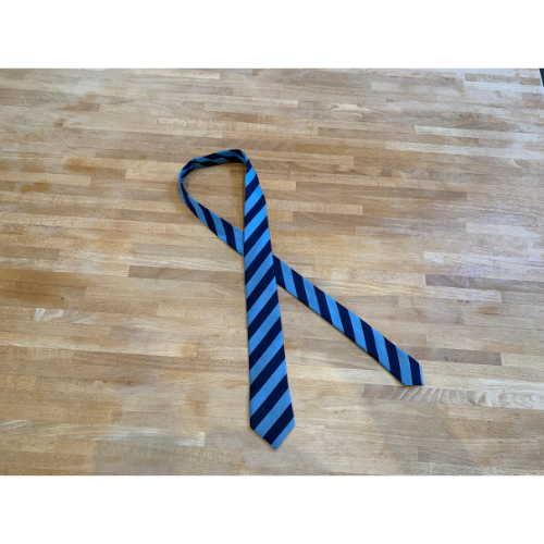 Navy and sky blue wide stripe sustainable recycled school tie - Heartstopper Turham Boys Grammar School