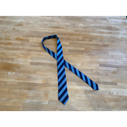 Navy and sky blue wide stripe sustainable recycled eco school tie 