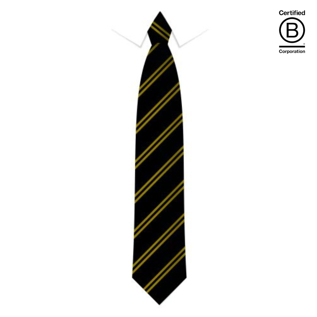 Black and gold twin stripe sustainable recycled eco school tie