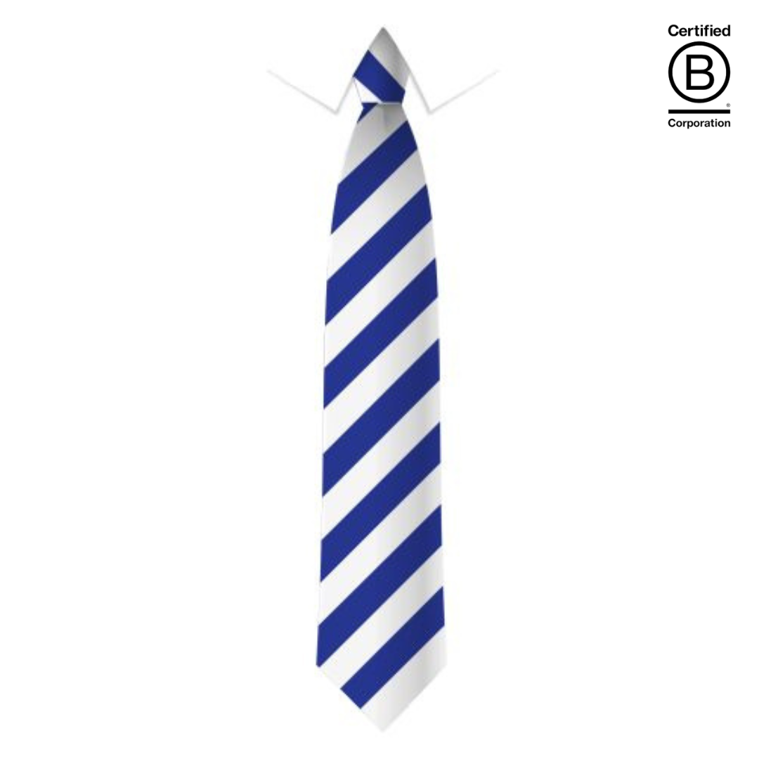 Blue and white wide stripe sustainable recycled eco school tie