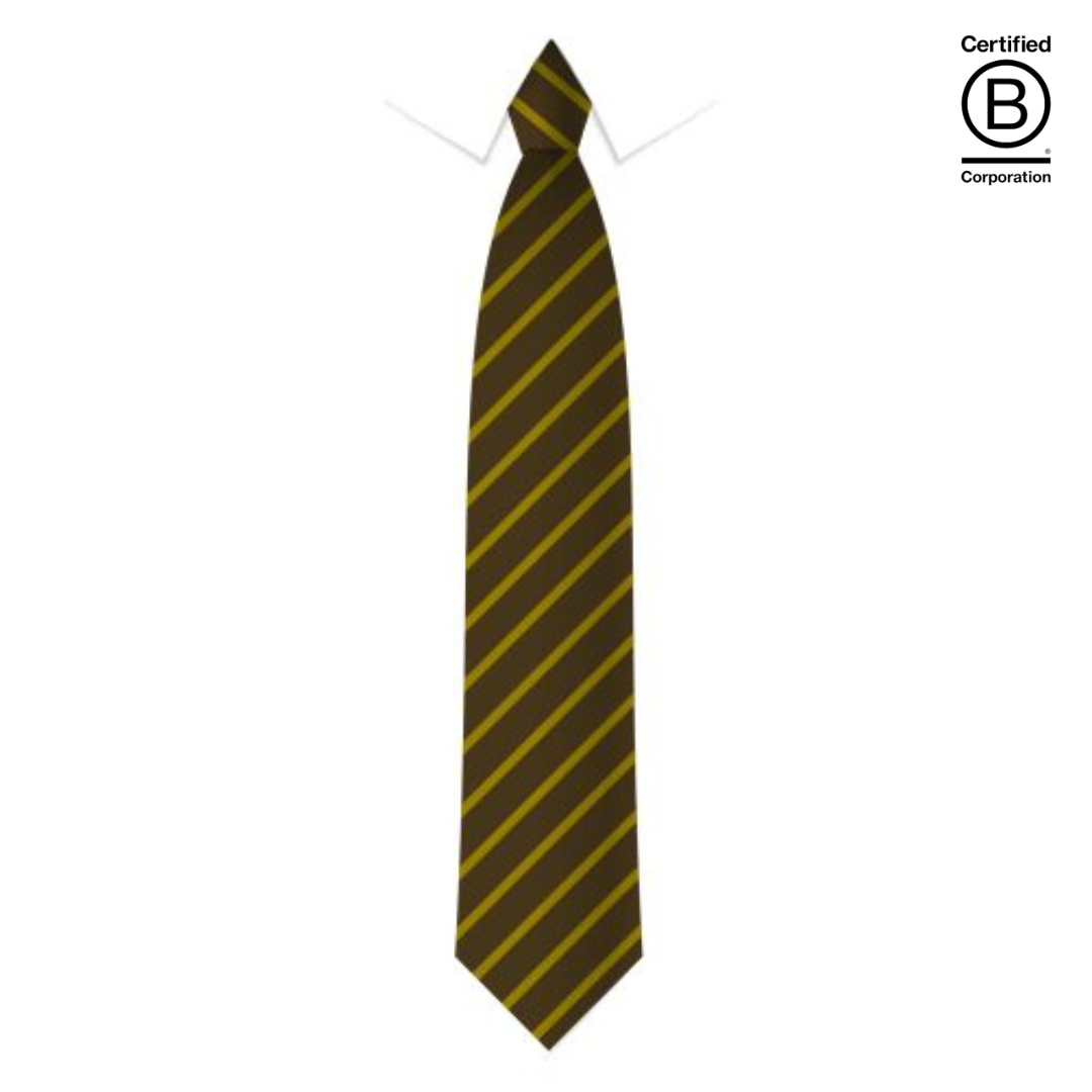 brown and gold  narrow stripe eco recycled sustainable school ties