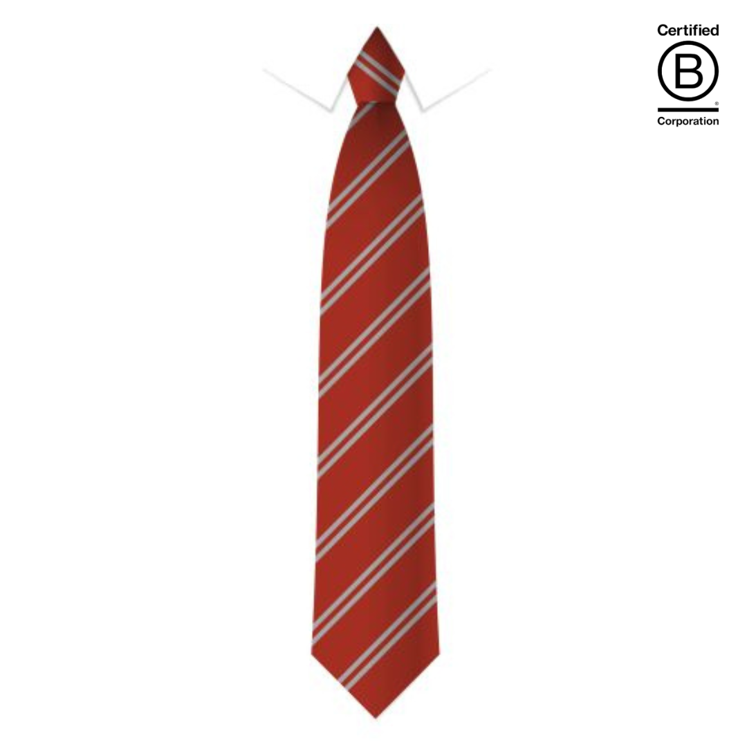red and silver twin stripe sustainable recycled eco school tie